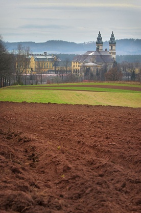 Barokowy  zawrót głowy