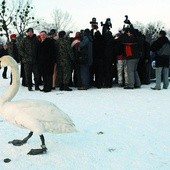 Politycy też jedzą drób