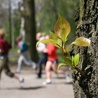 Drobiazgi też się liczą