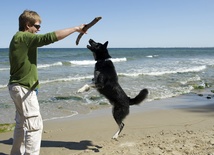 Plaża dla psów