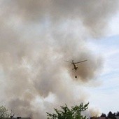 Wielki pożar lasu pod Bukownem