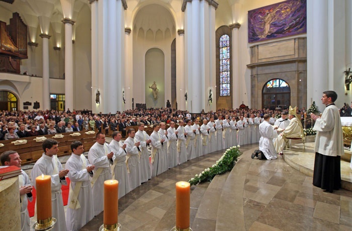 Święcenia kapłańskie w katedrze