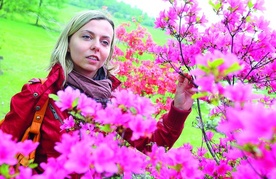 Dumą Śląskiego Ogrodu Botanicznego są różnobarwne azalie.  – W pełnym słońcu te kolory są oszałamiające – zdradza Katarzyna Galej  