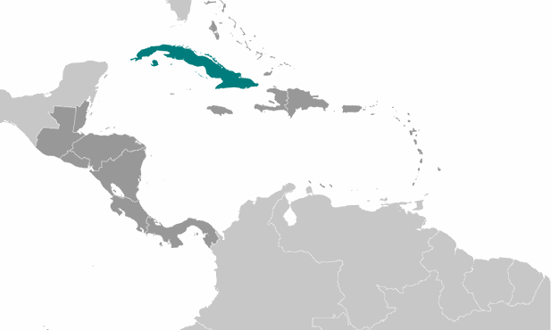 Kuba czeka na misjonarzy