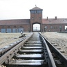 W Auschwitz szukajmy dróg pojednania