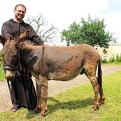 Brodacze św. Franciszka