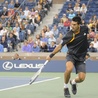 Triumf Djokovica w Toronto