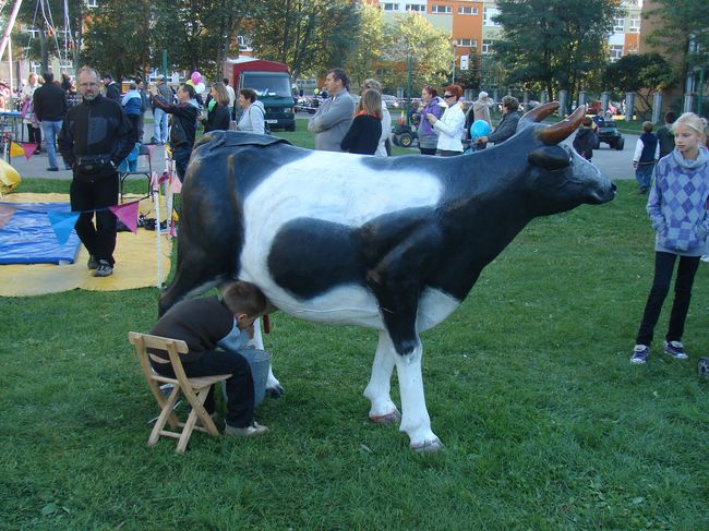 Spółdzielczy piknik