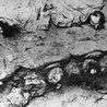 Zbiorowe mogiły odkryto pod Nysą