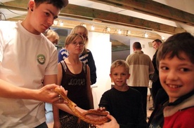 Dzieci chętnie dotykały węża zbożowego. Nie jest jadowity
