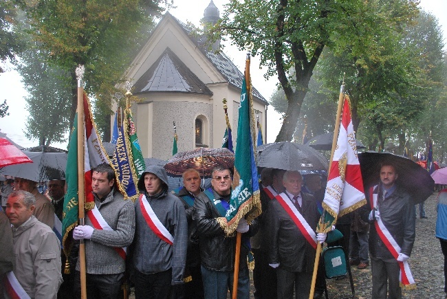 Gołębie, hodowcy i orkiestry kalwaryjskie