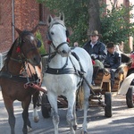 Hubertus w Złotniku