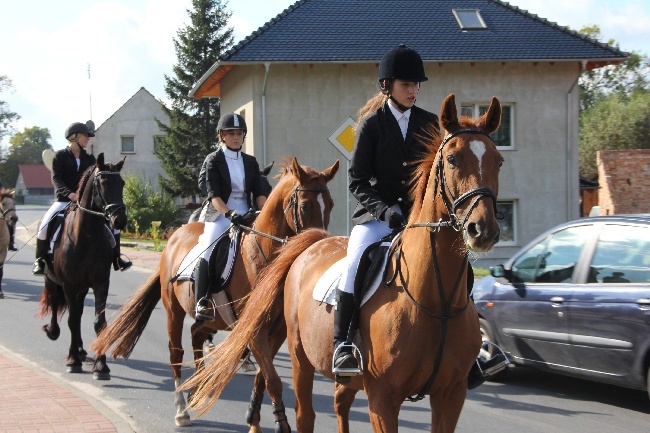 Hubertus w Złotniku