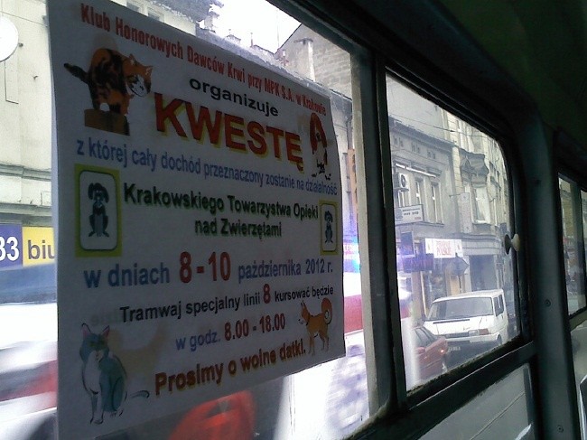 Tramwajem dla zwierząt