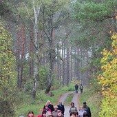  Trasa łosiery widzie przez lasy położone między Pluskami a Orzechowem