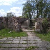 Kostrzyńskie ruiny kryją skarby