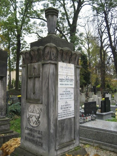 Cmentarz Rakowicki jesienią