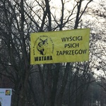 VI Wyścigi Psich Zaprzęgów Wataha Cup