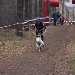 VI Wyścigi Psich Zaprzęgów Wataha Cup