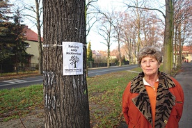   – Całe piękno tego miejsca tworzą nie domy, ale drzewa. Domy można wybudować, a takie drzewa rosną sto lat – mówi Teresa Zaborowska, która mieszka tu od 1945 r.