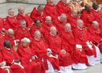 Adoptuj kardynała