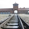 Izraelczyk podejrzany o znieważenie pomnika w byłym KL Auschwitz