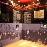 Zakres tematyczny ekspozycji będzie dotyczył m.in.: osadnictwa Żydów na ziemiach polskich w kontekście historycznym i politycznym