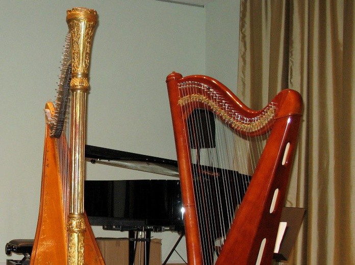 Zamordowana artystka miała za kilka miesięcy robić dyplom w klasie harfy 