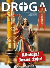 Droga 7/2013