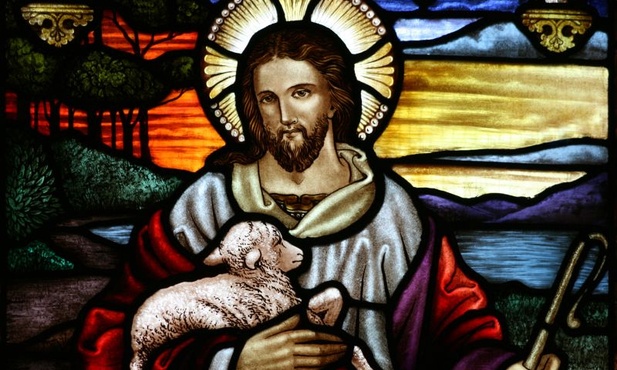 Dobry Pasterz wyzwala nas od owczego pędu