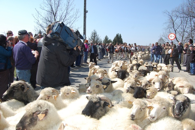 Bacowskie święto w Ludźmierzu