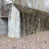 Do niedawna niektóre bunkry służyły za piwnice do przechowywania np. ziemniaków