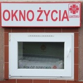 Chłopczyk w oknie życia