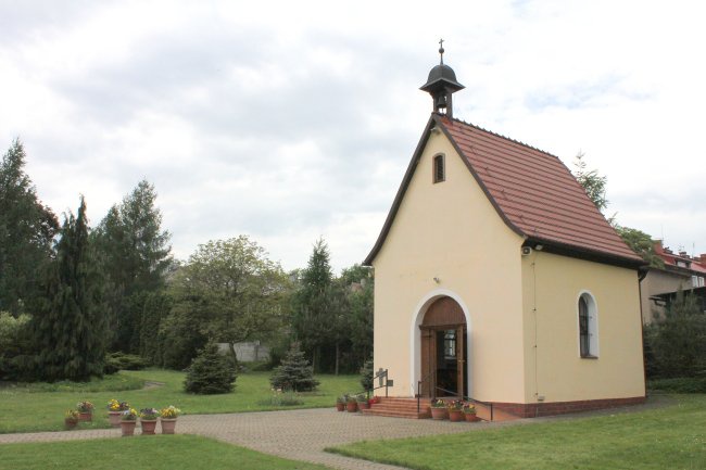 Centrum Szensztackie w Rokitnicy