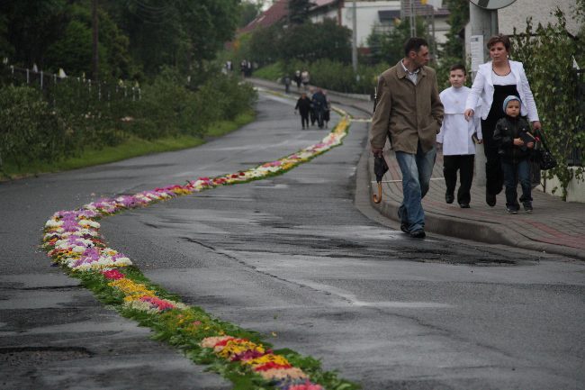 Rok 2013 w obiektywie Gościa Opolskiego