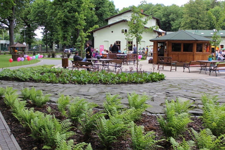 Terapia, edukacja i rekreacja w ogrodzie