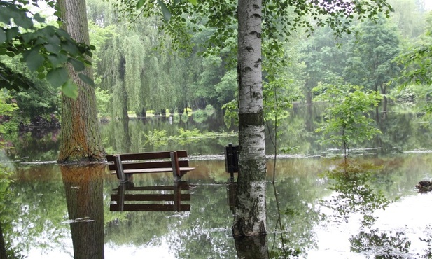 Łęczyca. Jeden z najstarszych parków miejskich w Polsce zalała woda