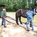 Przód tramwaju może być z każdej strony. Wystarczy podpiąć konia