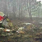 Co wiedzą o stateczniku Tu-154M?