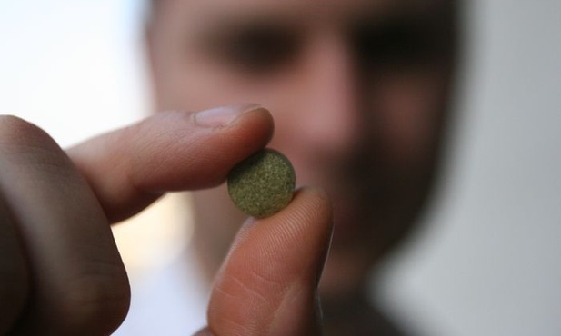 Kościół towarzyszy wam z miłością