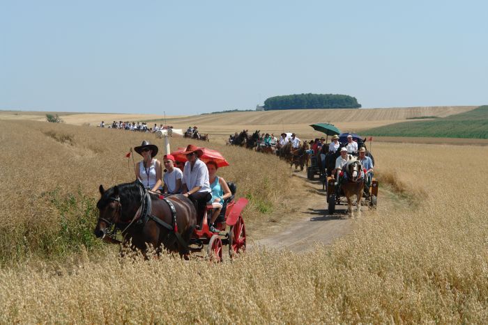 Konna pielgrzymka do Goja