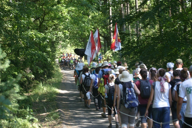 Pielgrzymi poszli w las...