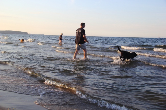 Psia plaża w Sopocie 