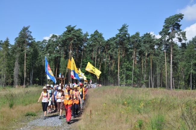 Przyroda na szlaku