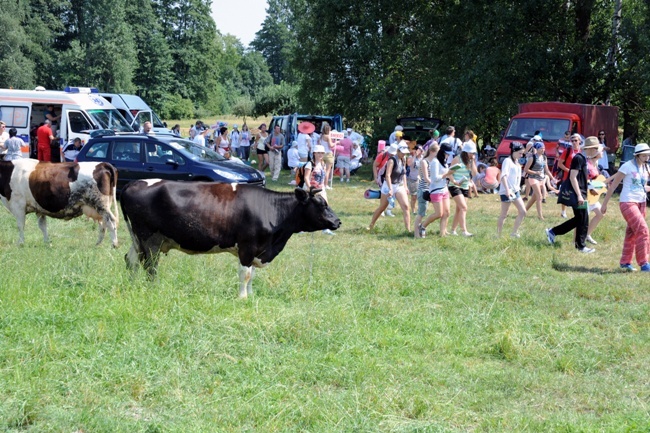 Opoczyńska kolumna maszeruje