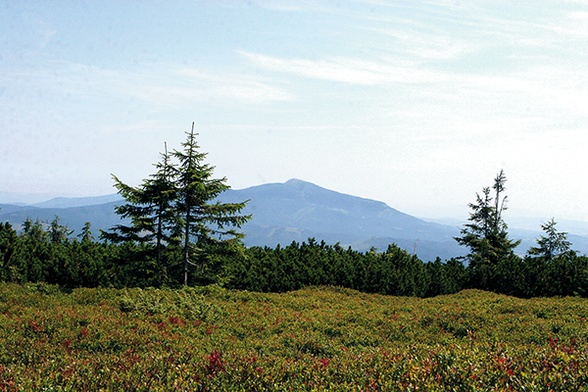 Widok z Pilska (1557 m n.p.m.)  na Babią Górę (1725 m n.p.m.)