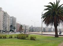 Piękne wybrzeże z plażami i domami wczasowymi jest chlubą Montevideo. Cudzoziemscy turyści, którzy cały urlop spędzają na plaży, nie dostrzegają rzeczywistych problemów Urugwaju