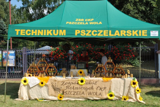 Festyn zgromadził setki uczestników