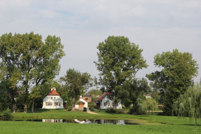 Park krajobrazowy w Radziejowicach