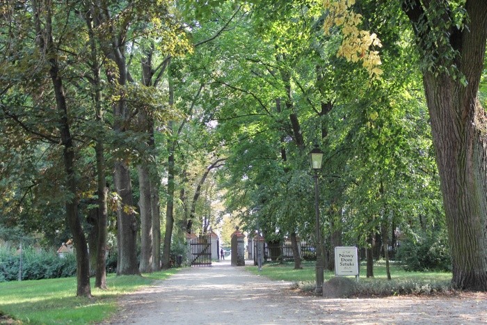 Park krajobrazowy w Radziejowicach